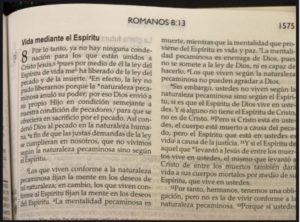 Biblia abierta Romanos capítulo 8.